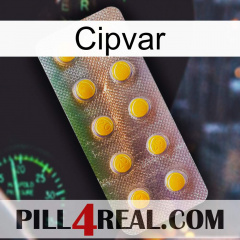 Cipvar new11